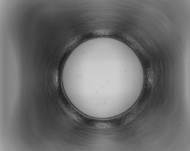 X0000113030494200909171504