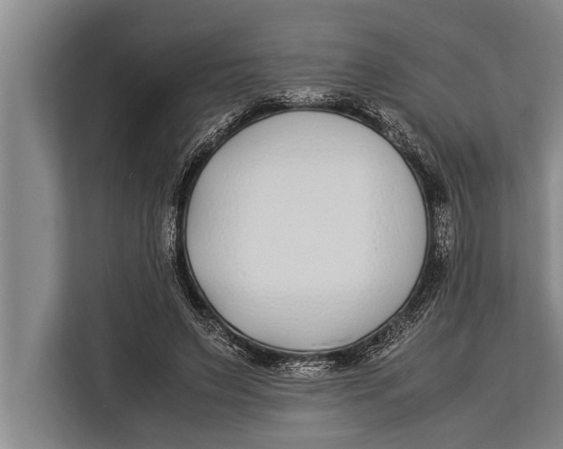 X0000113030495200909171504