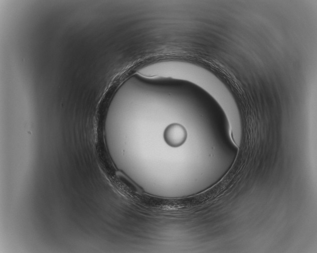 X0000113030496200909171504