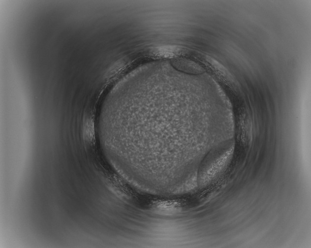 X0000113030500200909171504