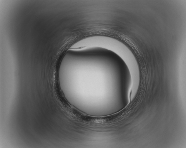 X0000113030501200909171504