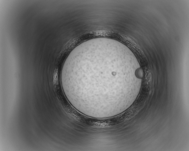 X0000113030502200909171504