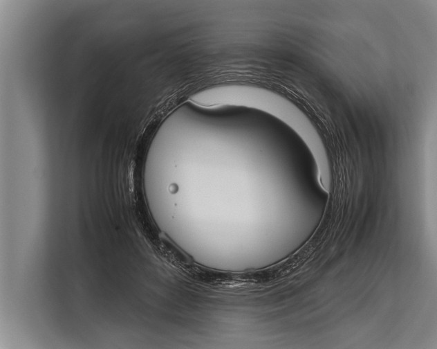 X0000113030504200909171504