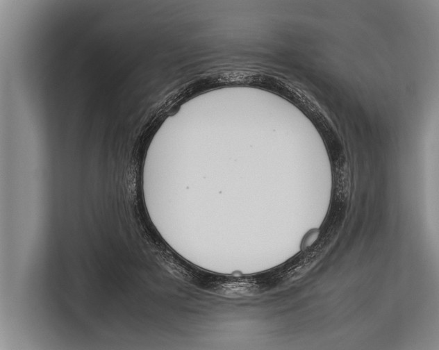 X0000113030505200909171504