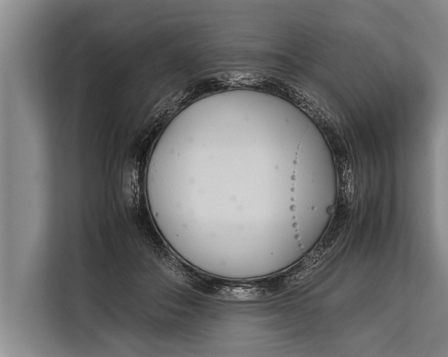 X0000113030506200909171504