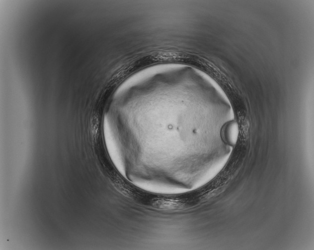 X0000113030507200909171504