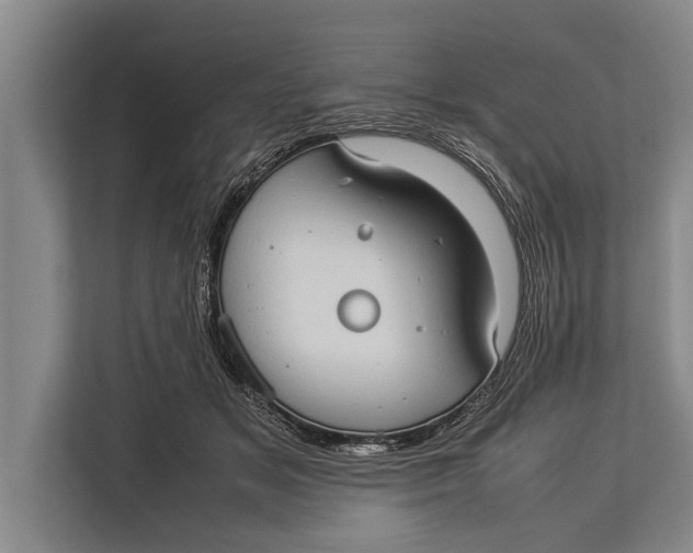 X0000113030509200909171504