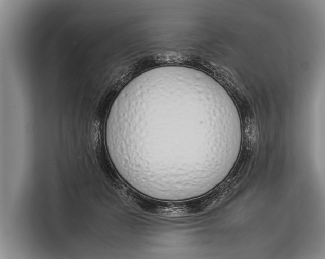 X0000113030511200909171503