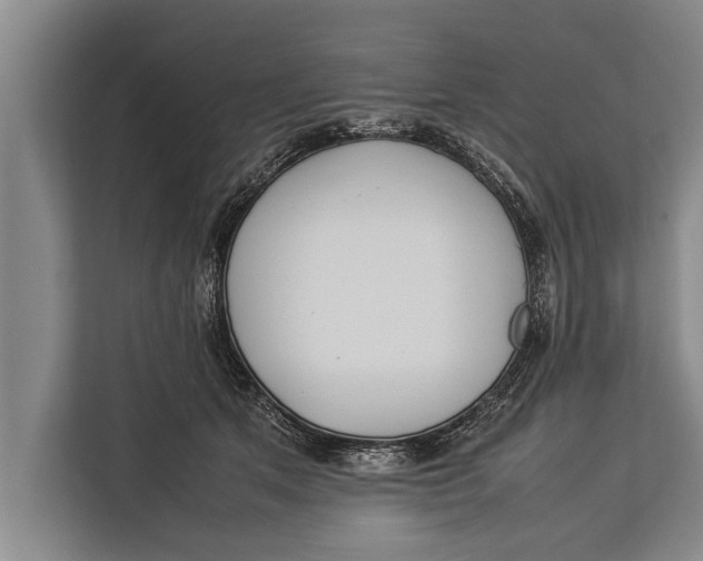 X0000113030513200909171503