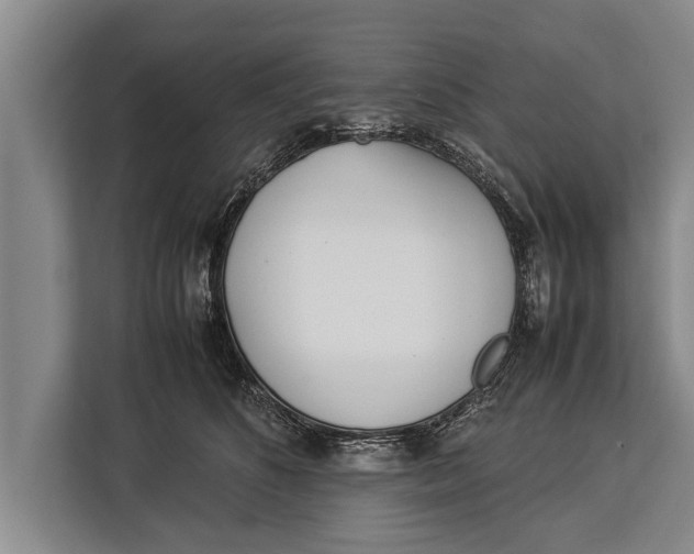 X0000113030516200909171503