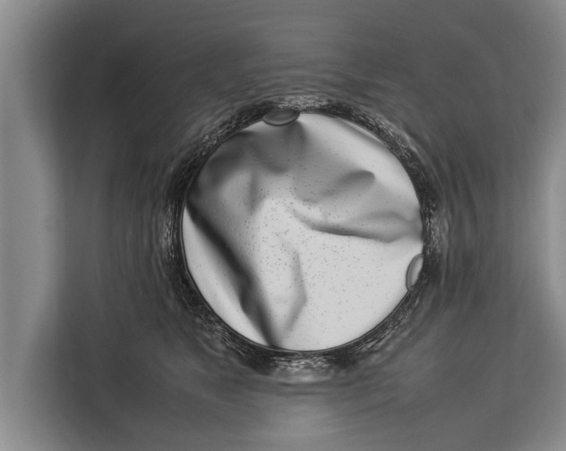 X0000113030517200909171503