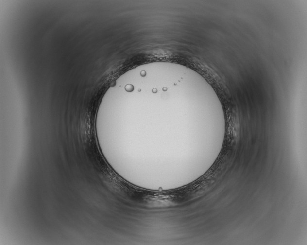 X0000113030518200909171503