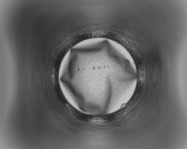 X0000113030519200909171503