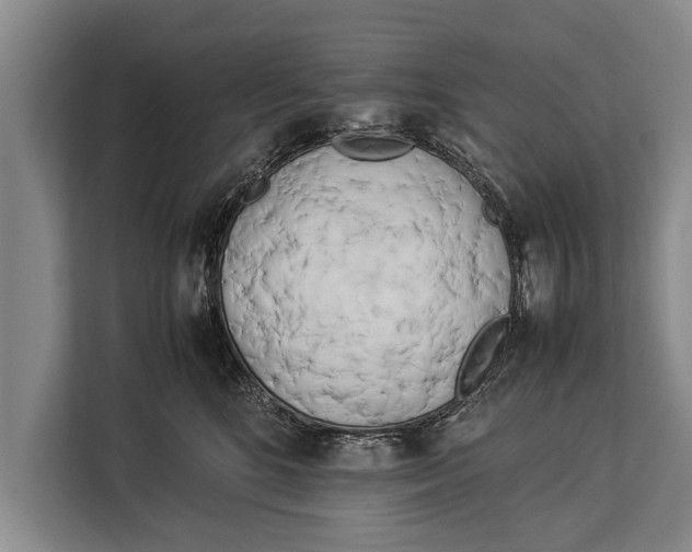 X0000113030520200909171503