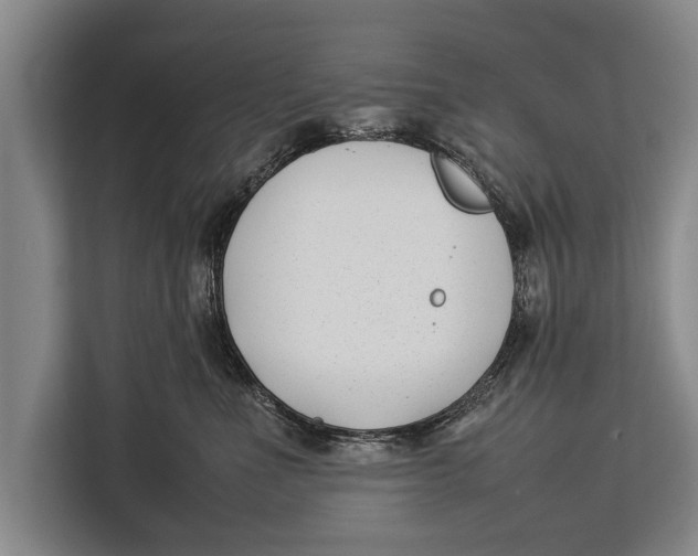 X0000113030523200909171503