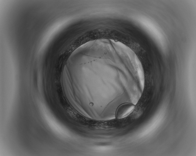 X0000113030526200909171503