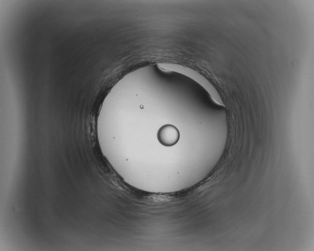 X0000113030528200909171503