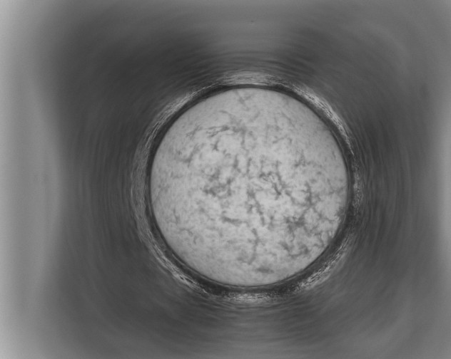 X0000113030529200909171503