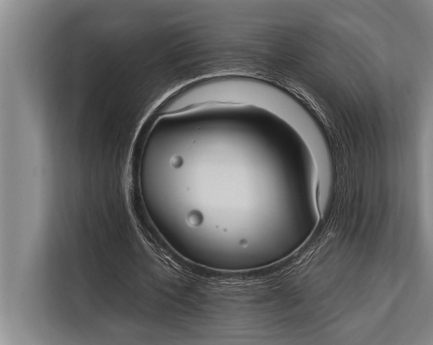 X0000113030532200909171503