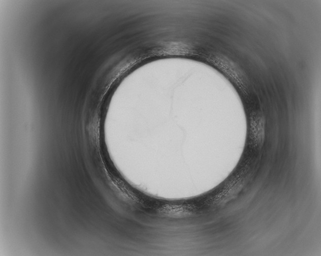 X0000113030534200909171503