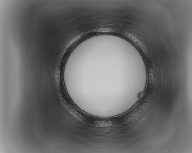 X0000113030535200909171503