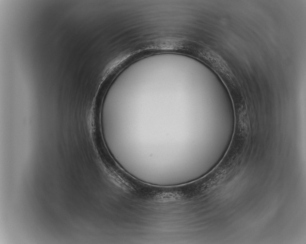 X0000113030536200909171503