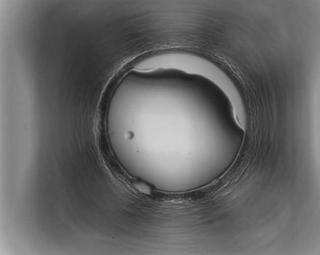 X0000113030540200909171503