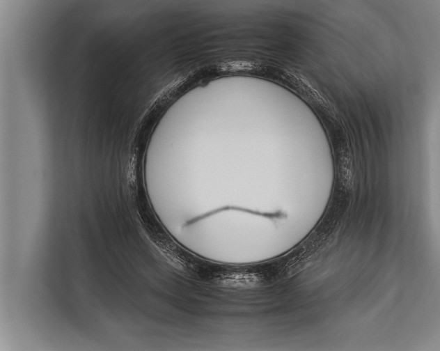 X0000113030543200909171503