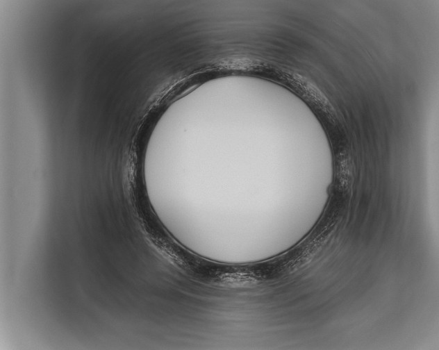 X0000113030544200909171503