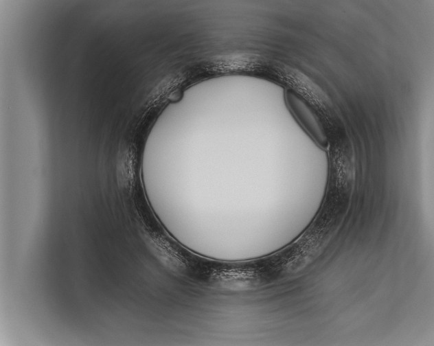 X0000113030546200909171503