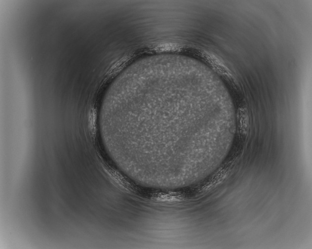 X0000113030550200909171503