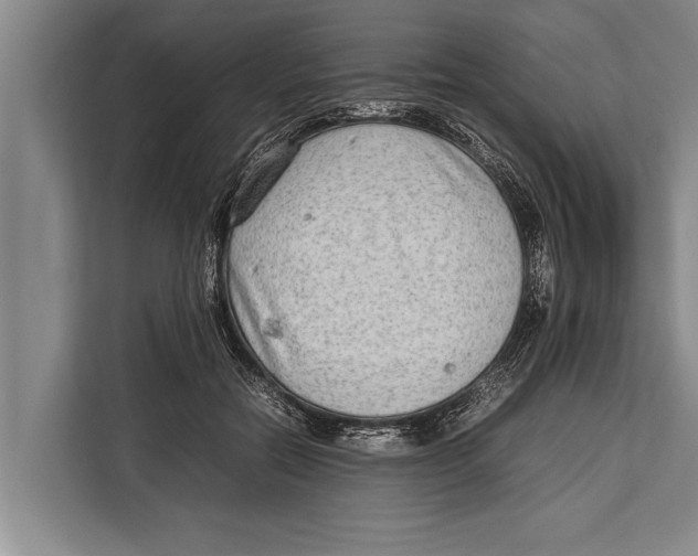 X0000113030554200909171503