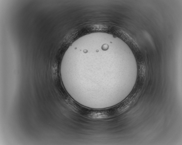 X0000113030557200909171503