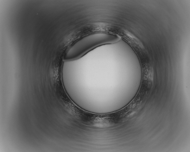 X0000113030560200909171503