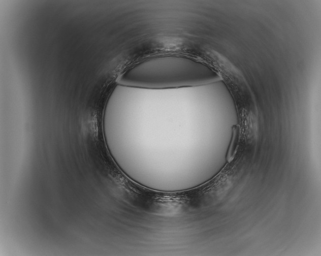 X0000113030562200909171503