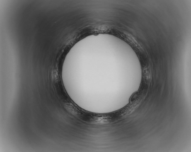 X0000113030564200909171503