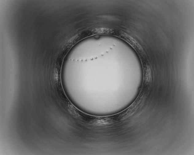 X0000113030569200909171503