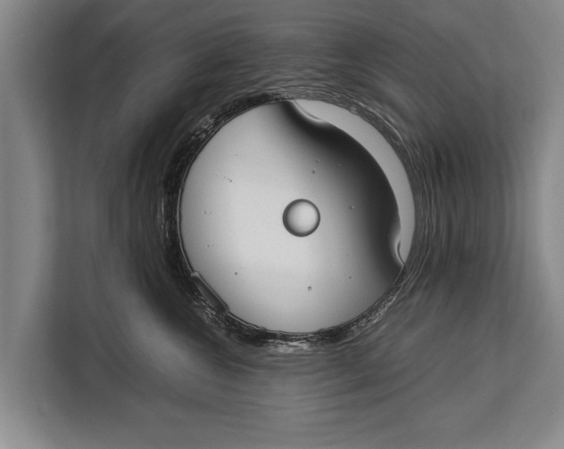 X0000113030572200909171503