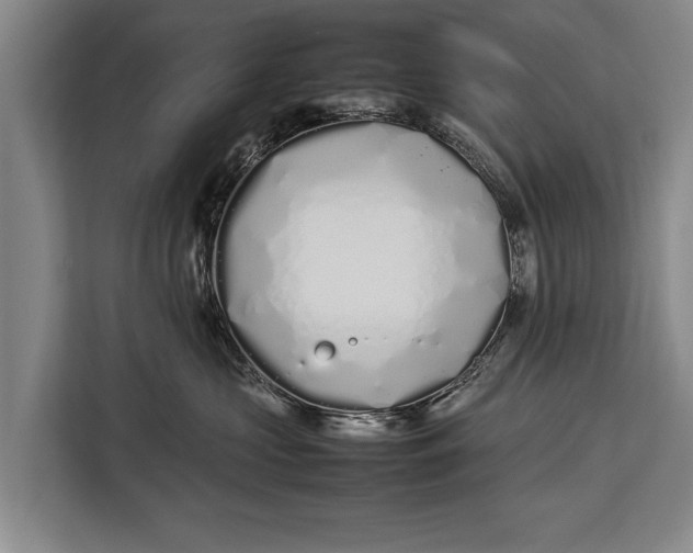 X0000113030573200909171503