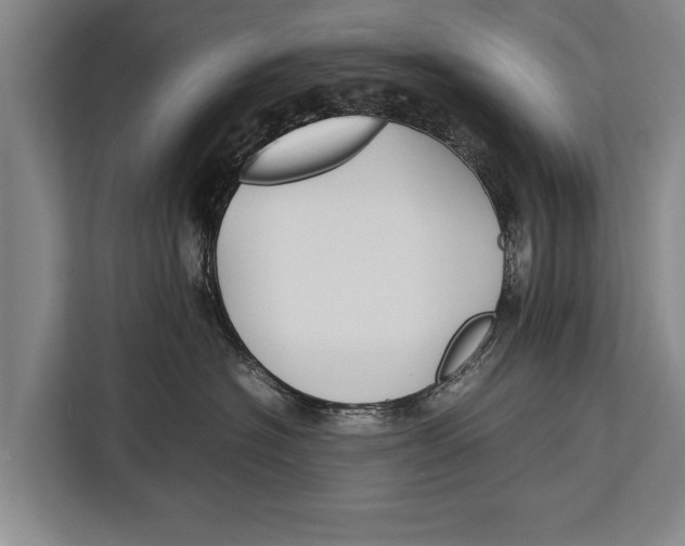 X0000113030574200909171503