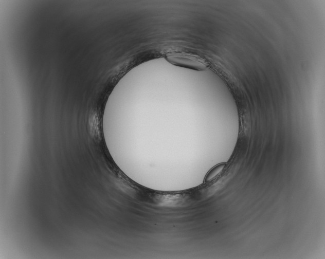 X0000113030575200909171503