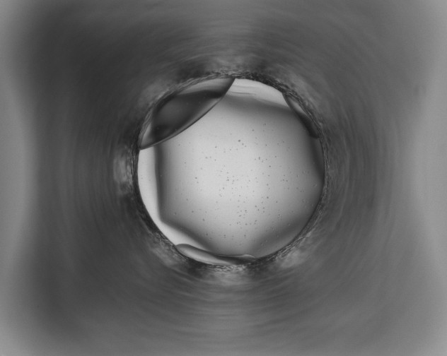 X0000113030576200909171503