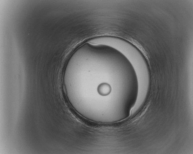 X0000113030577200909171503