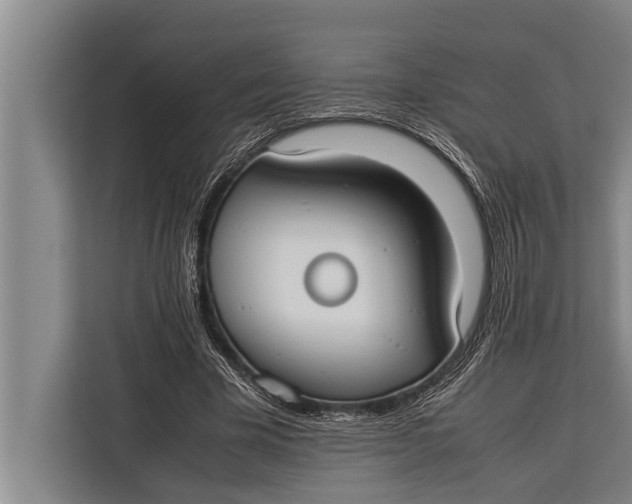 X0000113030585200909171503