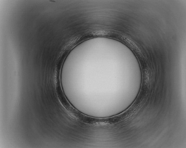 X0000113030586200909171503