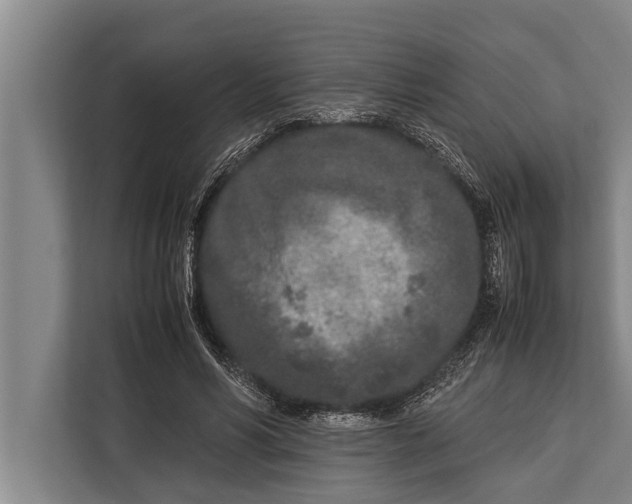 X0000113030590200909171502