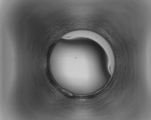 X0000113030593200909171502