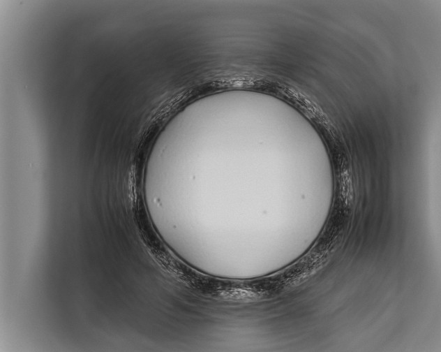 X0000113030594200909171502