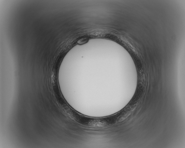 X0000113030597200909171502