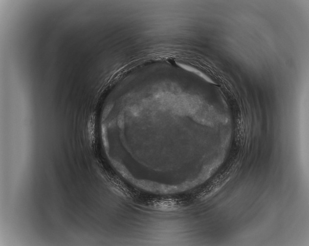 X0000113030600200909171502